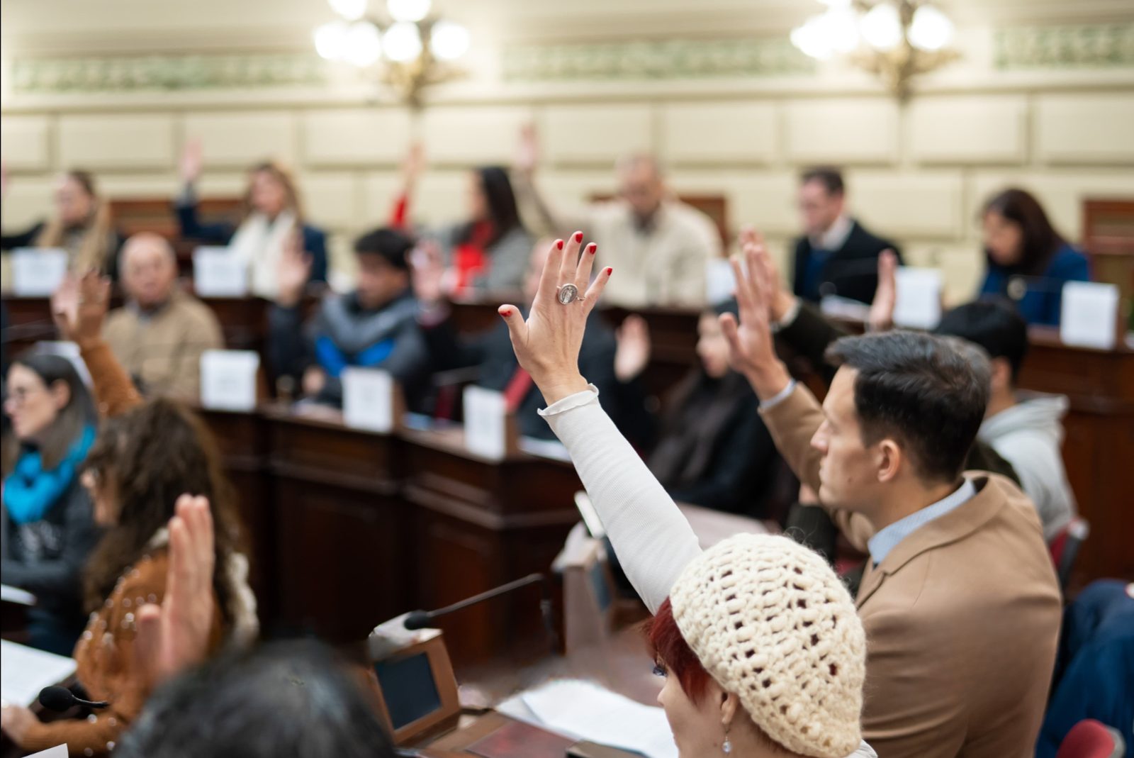 Votación a mano alzada durante la sesión